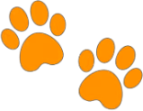 orange emote