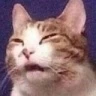 CE_Confused3 emote