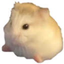 Sits emote
