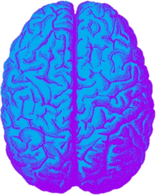 BrainScan emote