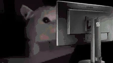 FLASHBANG emote