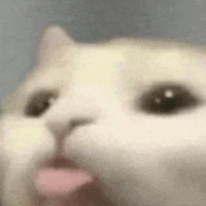 Blep_Cat emote