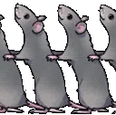 CONGRATS emote