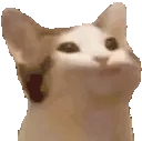 PausePop emote