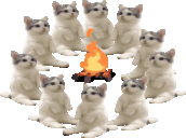 catsCamp animated emote