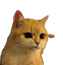 Grrrr emote