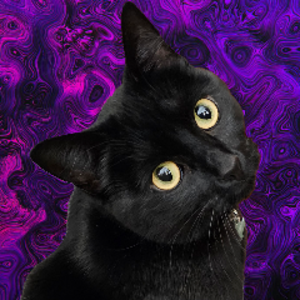 matter_maker avatar