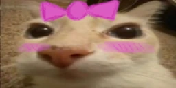 otagCute emote