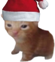 Robert emote