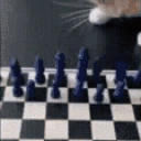 pwgoodChess emote