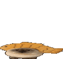 fishcatgif animated emote