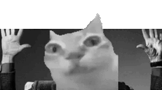 cinerma animated emote