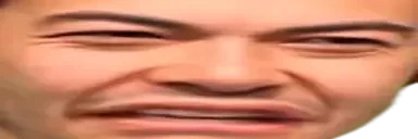 DansChamp emote