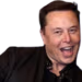 elonheyhey emote