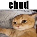 chud emote