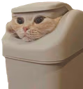 catbin emote