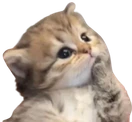 thinker emote