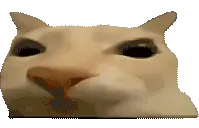 otag3D emote
