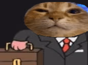 wuhBusiness emote