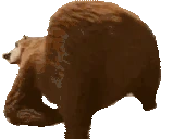 Bearbobus emoji