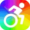 wheelChair emote