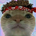 BloodCatCrip emote