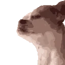 dogJAM emote