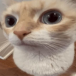 naagazi avatar