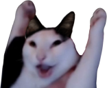 HYPERS static emote