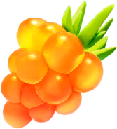 golden_razz_berry emoji