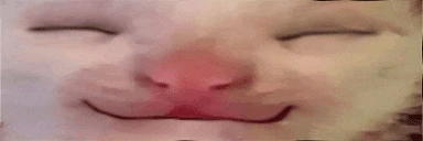 mmm emote