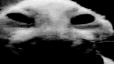 xddDespair emote