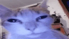 puh emote