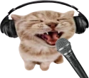 catSing emote