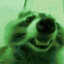 raccJAM emote