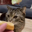burger emote