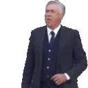 Ancelotti emote