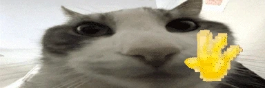 hiiiwires emote