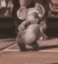 koalaPls emote