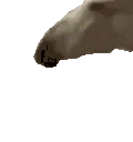 horseJAM emote