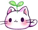 Catbeingcuet emote