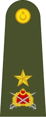 TurkishBrigadierGeneral emote