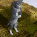 CatPrayingDuringRamadanMashallah emote
