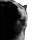 catDOOM animated emote