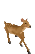 Deerhop emoji