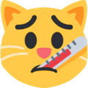 thermometer_cat emote