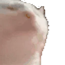 JAMTOOFAST emote