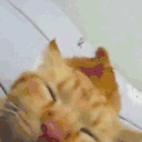buhjam emote