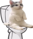 catshittingverycomfortable emote