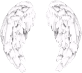 wings emote